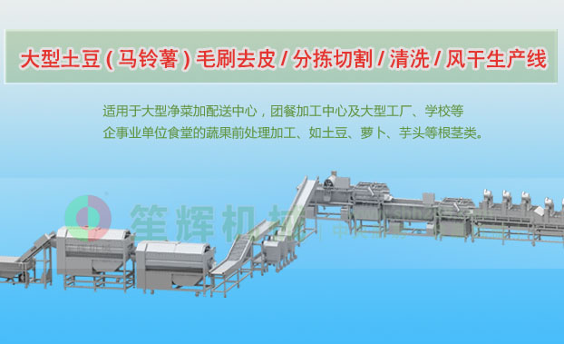 新兴连续式土豆去皮清洗切割风干生产线